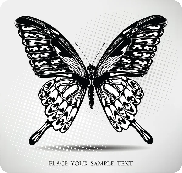 Papillon dessin à la main. Vecteur — Image vectorielle