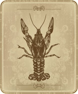 Vintage frame with crayfish, hand drawing. clipart