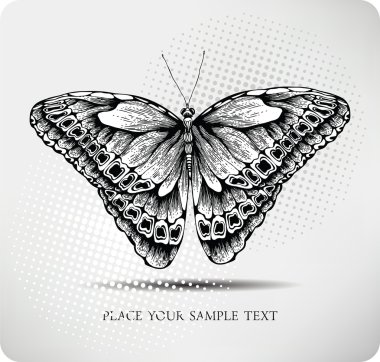 Butterfly hand drawing. vector clipart