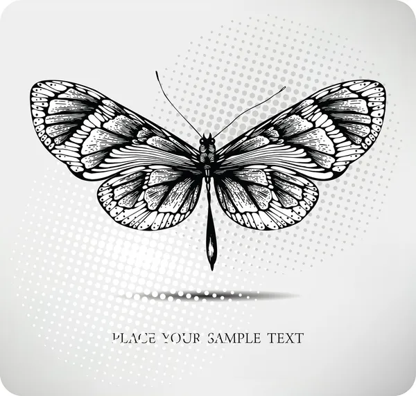 Dibujo a mano de mariposa. Vector — Vector de stock