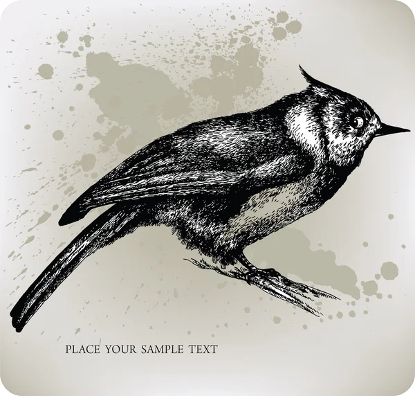 Vogel zittend op een tak, hand getrokken. vectorillustratie — Stockvector
