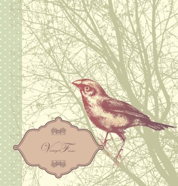arka plan ile vintage kuş elle çizilmiş bir ağaçta oturuyor