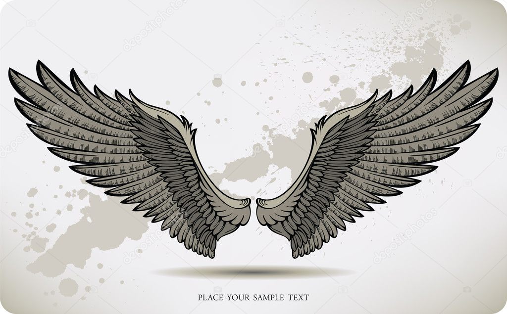 Wings, hand drawing. Vector illustration