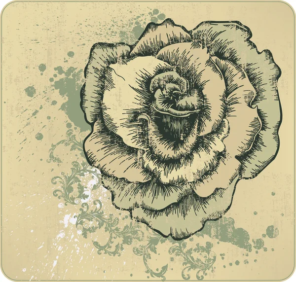 Винтажная рамка с цветущими розами, ручной рисунок. Векторная иллюстрация . — стоковый вектор