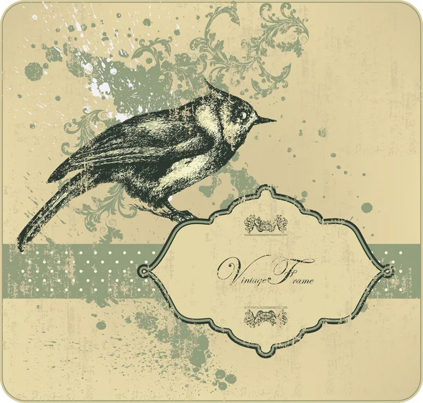 Cornice vintage con uccello, disegno a mano. Illustrazione vettoriale . — Vettoriale Stock