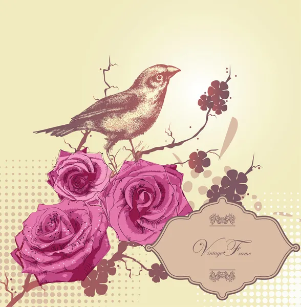 Floral φόντο με ροζ τριαντάφυλλα και ένα πουλί — Διανυσματικό Αρχείο