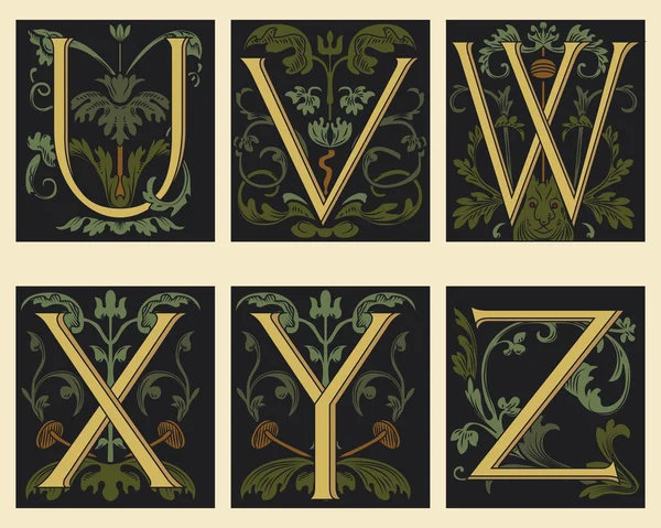 Sextonde-talets alfabet u v w x y z — Stock vektor