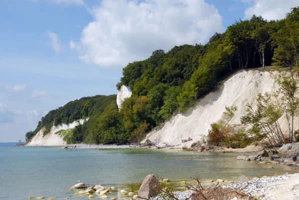 stock image Chalk cliffs on rügen