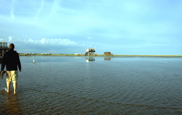 Senderismo en el Mar de Wadden — Foto de Stock