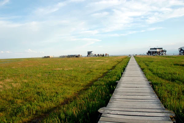 stock image Trail to the Mudflat