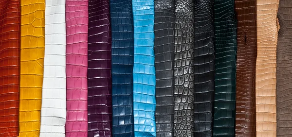 stock image Rainbow of leather