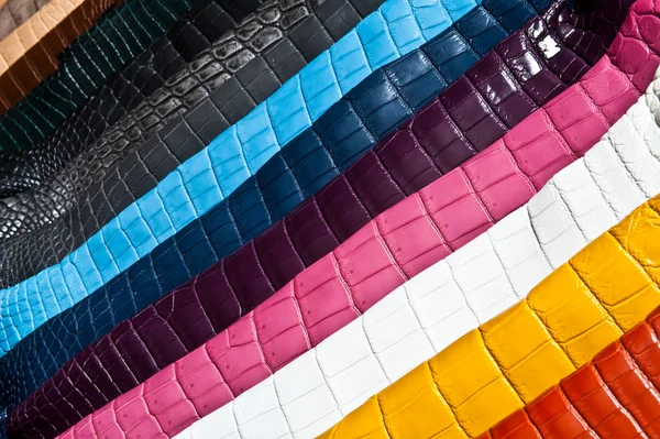 Arco-íris de couro — Fotografia de Stock