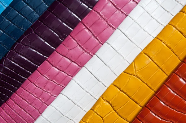 Rainbow of leather — Stock Photo, Image