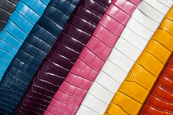 stock image Rainbow of leather