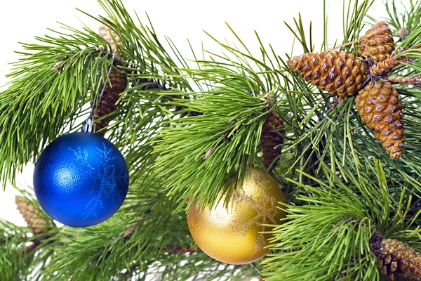 Pine branches with New toys — Stock Photo, Image