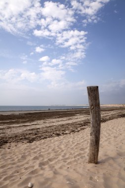 Plage d'Oléron clipart