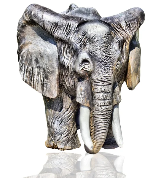 stock image Elephant on a white