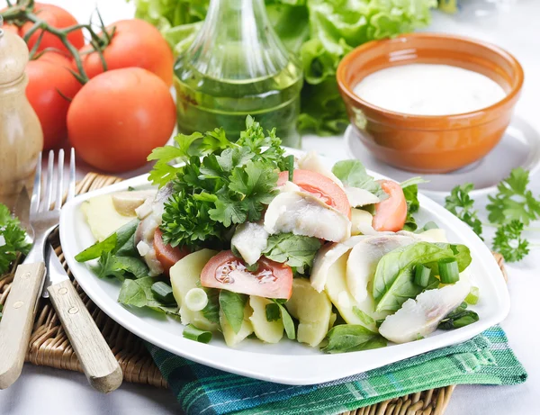 Herring salad — Stock Photo, Image