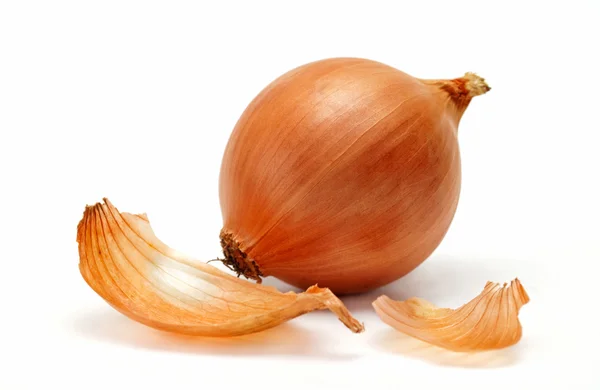 stock image One onion and peel