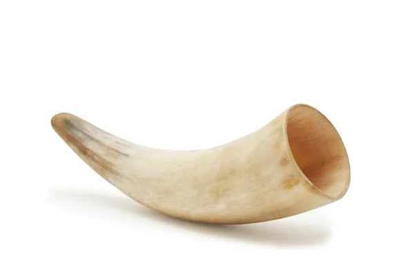 Hollow horn bull on the table — Stock Photo, Image