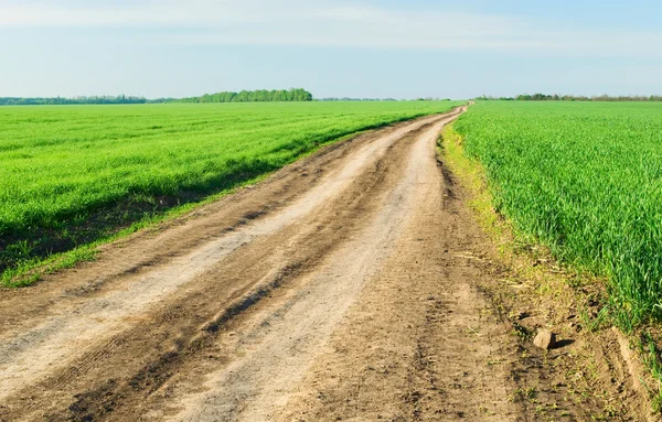 Stock image Field