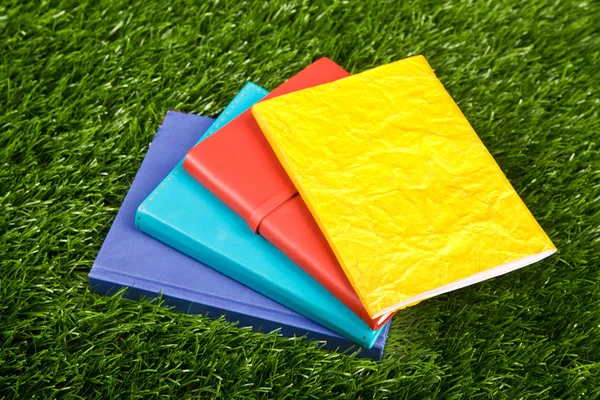 Notebooks in the grass — Stock Photo, Image