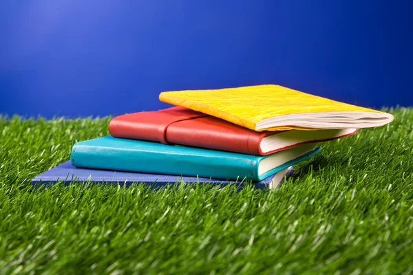 Cuaderno en la hierba — Foto de Stock