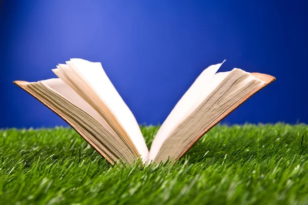 Notebook i gräset — Stockfoto