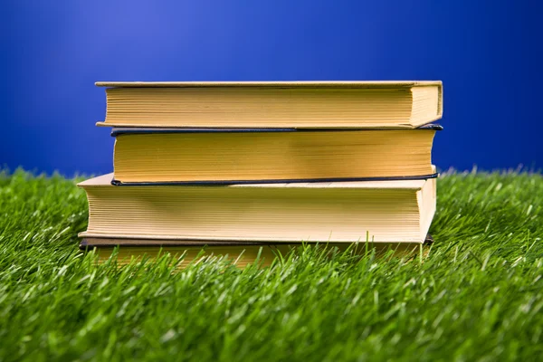 Knihy v trávě — Stock fotografie