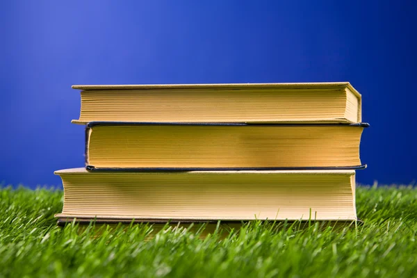 Böcker i gräset — Stockfoto