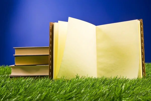 Books in the grass — Stock Photo, Image