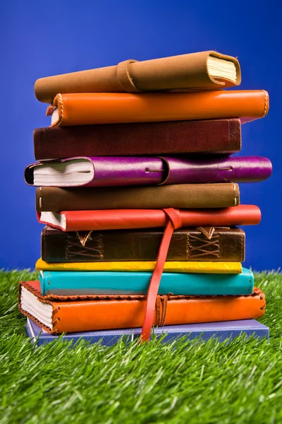 Βιβλία στο χόρτο — Φωτογραφία Αρχείου