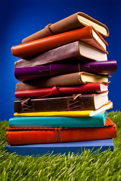 Livros na grama — Fotografia de Stock