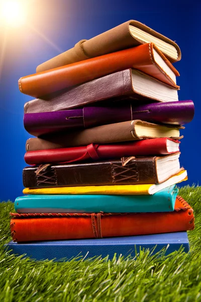 Libros en la hierba — Foto de Stock