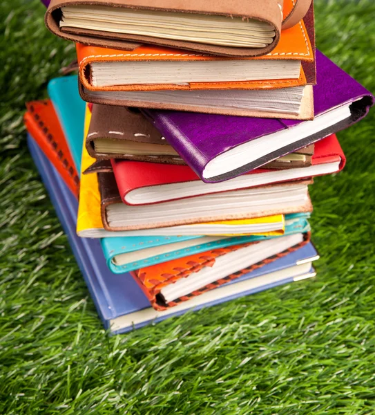 Cuadernos en la hierba — Foto de Stock