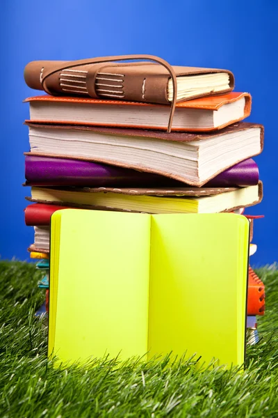 Cuaderno en la hierba — Foto de Stock