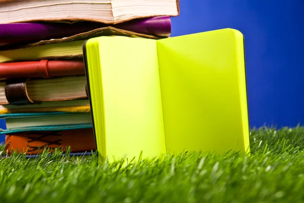 Cuaderno en la hierba —  Fotos de Stock