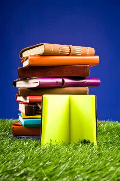 Книги в траве — стоковое фото