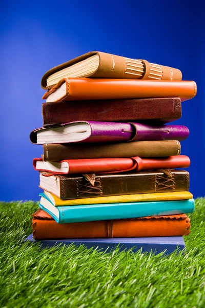 Libros en la hierba —  Fotos de Stock