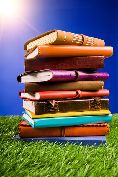 Bücher im Gras — Stockfoto