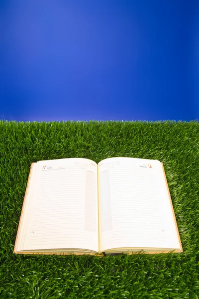 Ноутбук в траве — стоковое фото