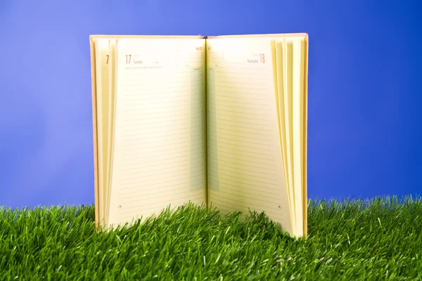 Buku catatan di rumput — Stok Foto