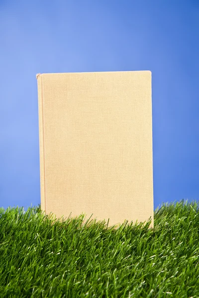 Bærbar bok i gresset – stockfoto