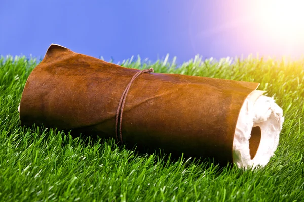 Scroll in the grass — Stock Photo, Image