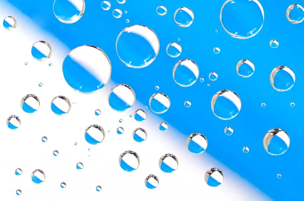 Gocce d'acqua su fondo bianco-blu . — Foto Stock