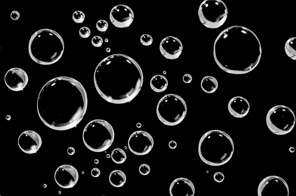 Water droplets on a black background. — Stock Photo, Image