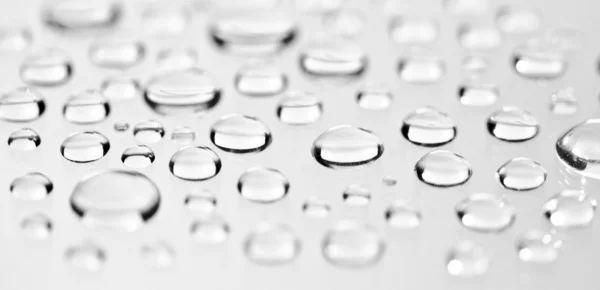 Water droplets on a white background. — Stock Photo, Image