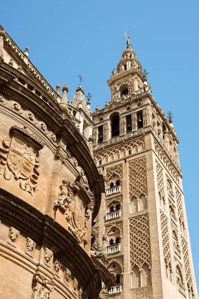 Sevilla Katedrali — Stok fotoğraf