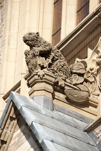 Escultura de castor en el Parlamento canadiense — Foto de Stock