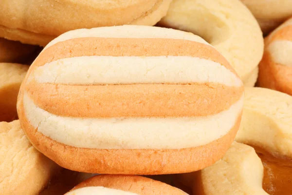 Křehké pečivo sušenky — Stock fotografie